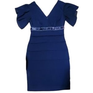 Enfocus Studio Womans Navy Flowy‎ Cocktail Dress Size 4